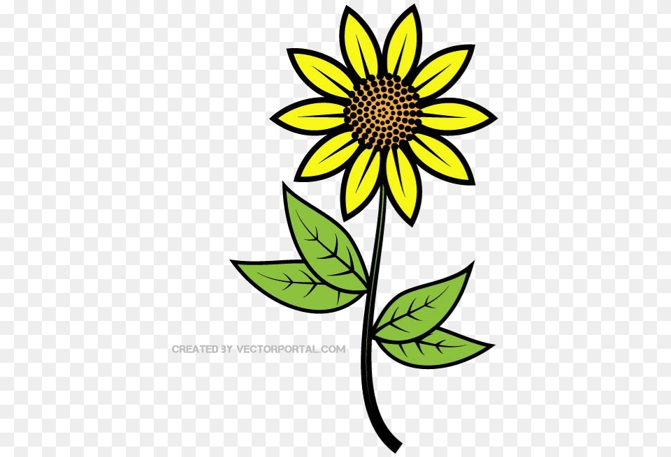 Sunflower Clip Art Free Vector Transparent Girassol Vetor, Daisy, Flower, Plant, Petal Png
