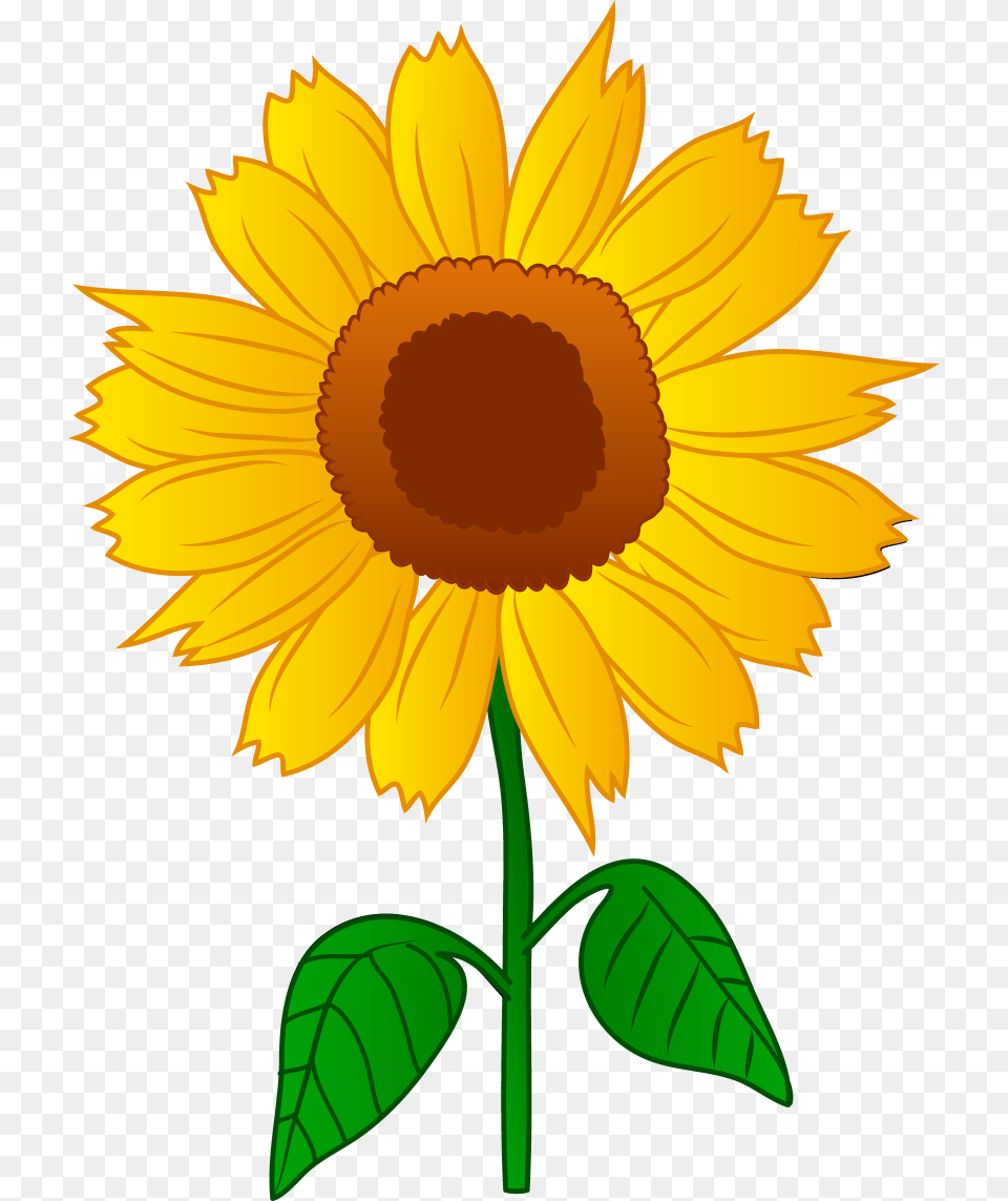Sunflower Clip Art Images Black, Flower, Plant, Daisy Png Image