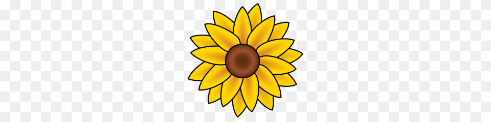 Sunflower Clip Art Mediamons, Daisy, Flower, Plant, Chandelier Free Transparent Png