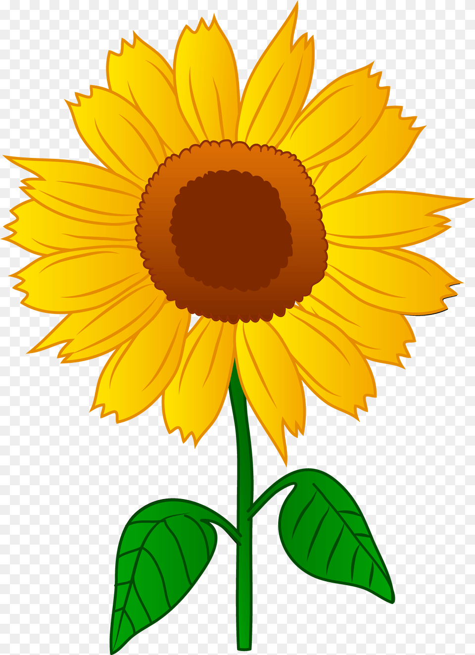 Sunflower Clip Art Of Sunflower, Flower, Plant, Daisy Png Image