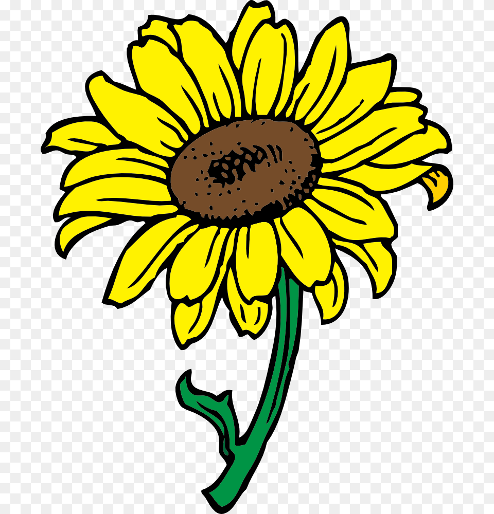 Sunflower Clip Art Printable, Daisy, Flower, Plant Free Png