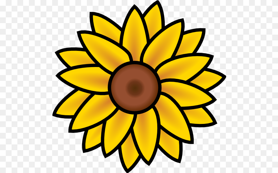 Sunflower Clip Art Sunflower Clip Art, Daisy, Flower, Plant Free Png Download