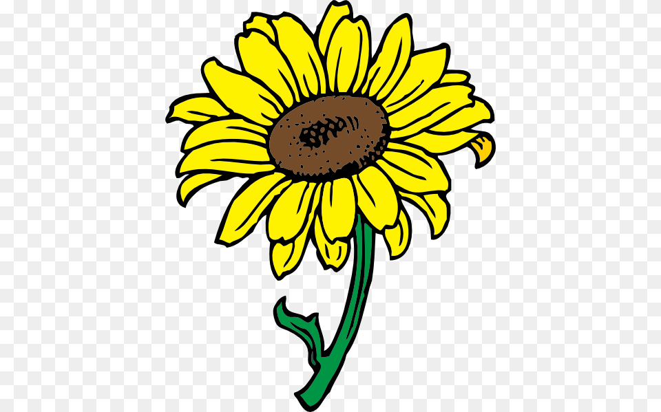 Sunflower Clip Art Vector, Daisy, Flower, Plant Free Transparent Png