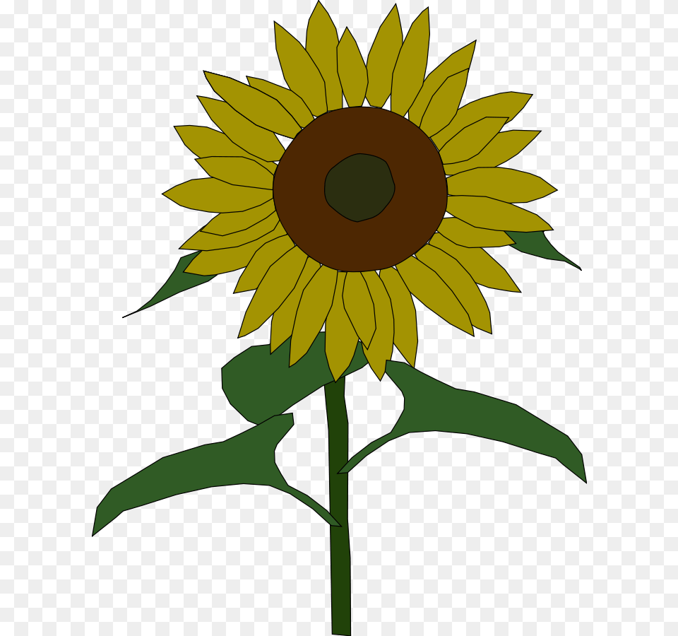 Sunflower Clip Arts Download, Flower, Plant Free Png