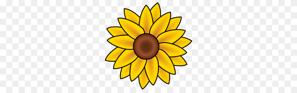 Sunflower Clipart, Daisy, Flower, Plant, Chandelier Free Png