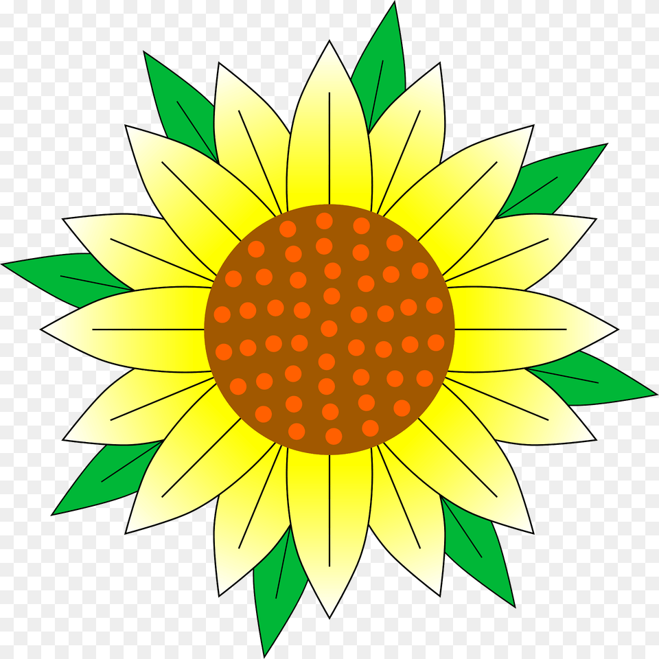 Sunflower Clipart, Flower, Plant, Dahlia, Daisy Free Png