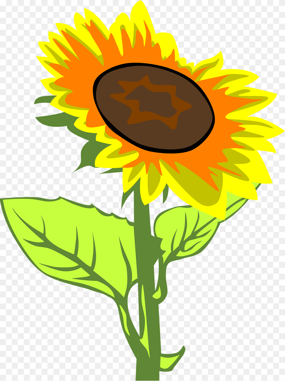 Sunflower Clipart, Flower, Plant Png Image
