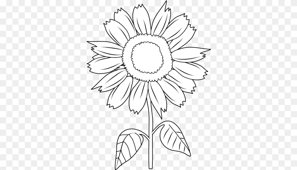 Sunflower Clipart 2 Black And White Clipart Of Sunflower, Daisy, Flower, Plant, Art Free Png