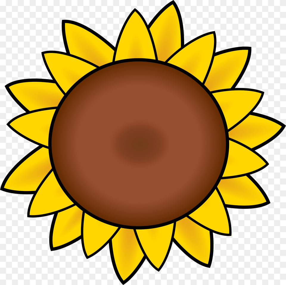 Sunflower Clipart, Flower, Plant, Bonfire, Fire Png Image