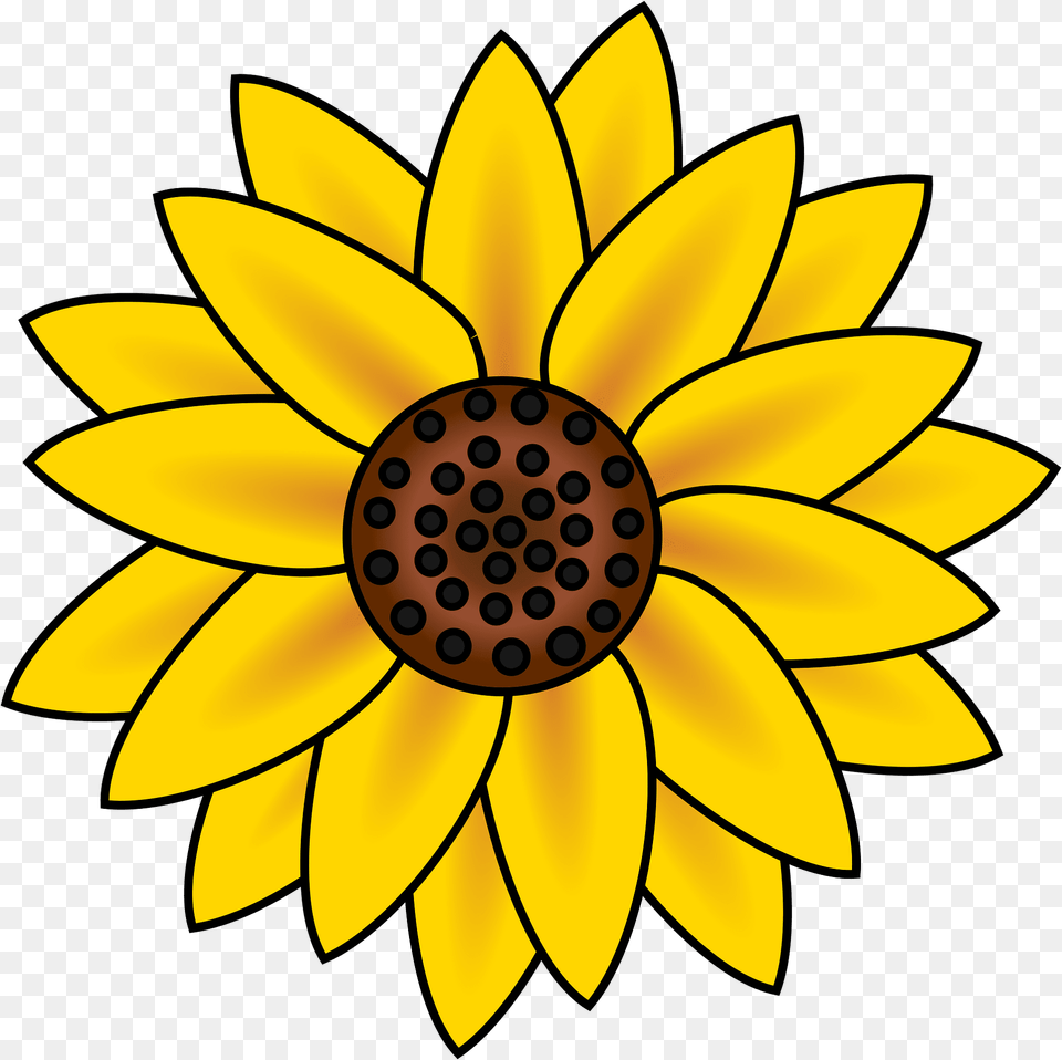 Sunflower Clipart, Daisy, Flower, Plant, Dahlia Png