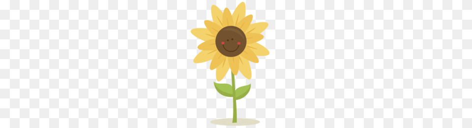 Sunflower Clipart, Daisy, Flower, Plant, Person Free Png