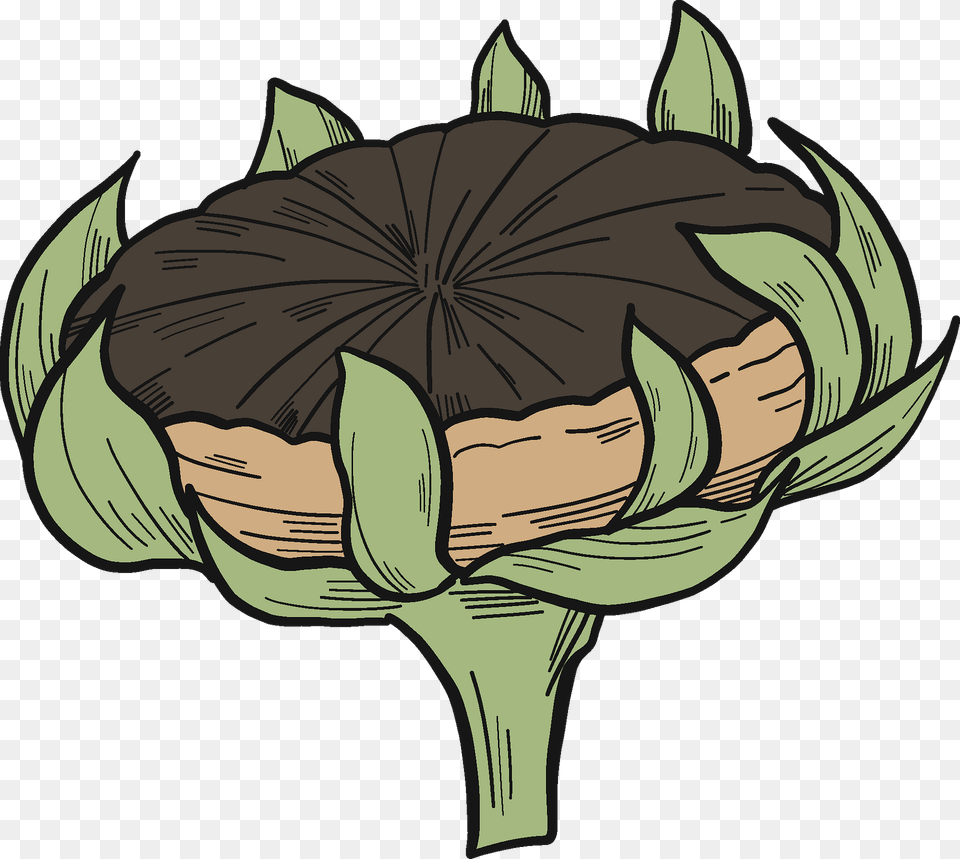 Sunflower Clipart, Flower, Plant, Produce, Food Png