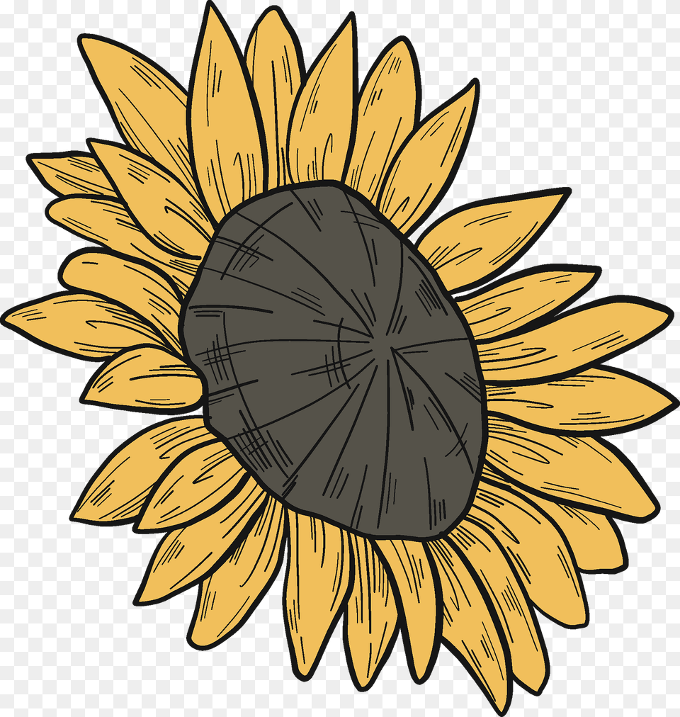 Sunflower Clipart, Flower, Plant, Animal, Fish Png