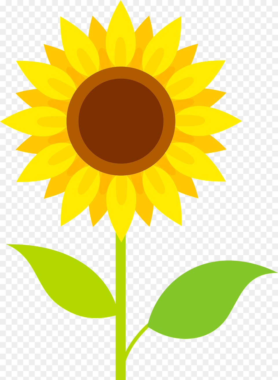 Sunflower Clipart, Flower, Plant Png Image