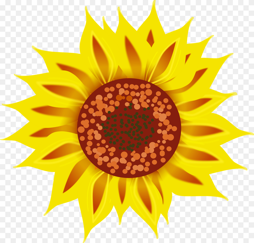 Sunflower Clipart, Flower, Plant Png Image