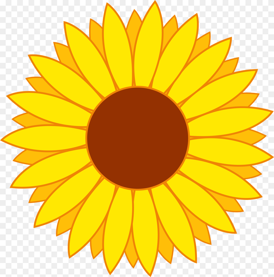 Sunflower Clipart, Daisy, Flower, Plant Free Png