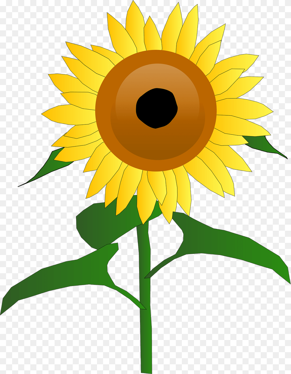 Sunflower Clipart, Flower, Plant Free Transparent Png