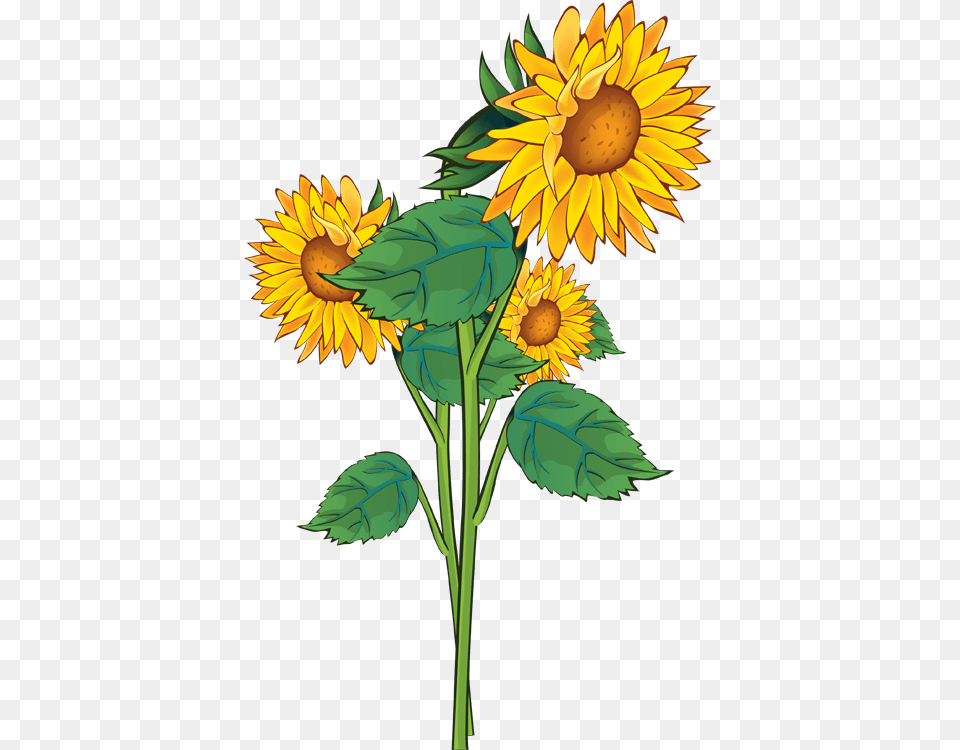 Sunflower Clipart, Flower, Plant, Art Png Image