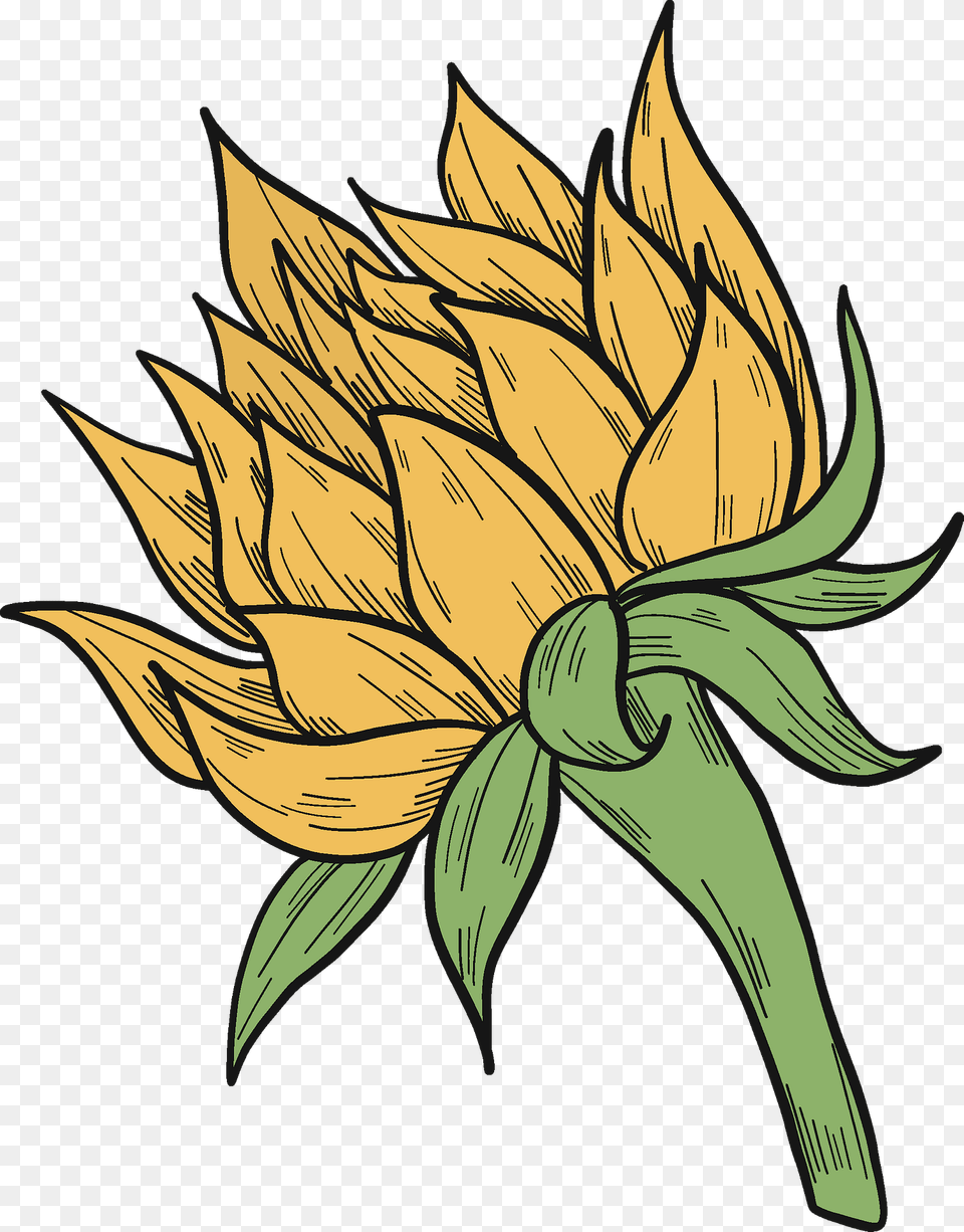 Sunflower Clipart, Plant, Dahlia, Flower, Leaf Png Image
