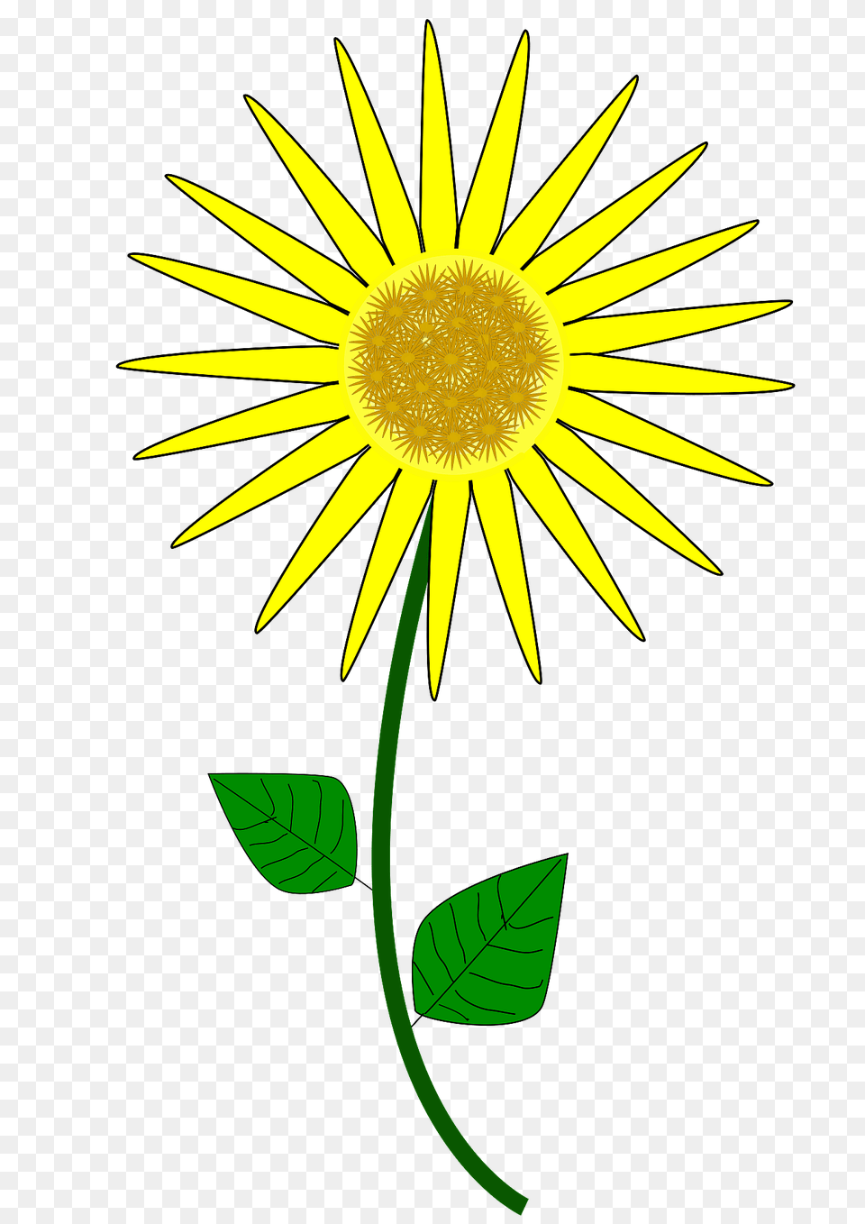 Sunflower Clipart, Daisy, Flower, Plant Free Png Download