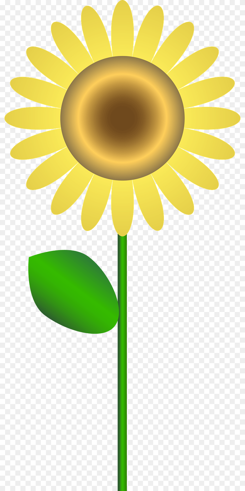 Sunflower Clipart, Daisy, Flower, Plant Png Image