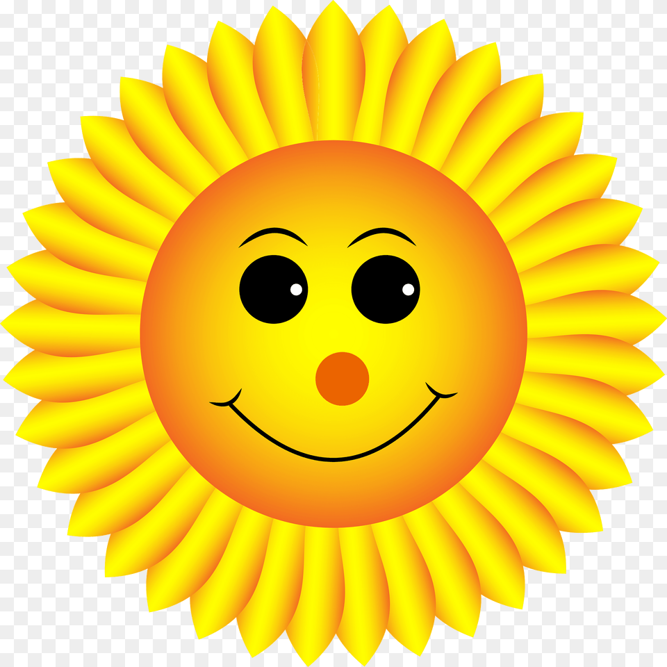 Sunflower Clipart, Flower, Plant, Outdoors, Daisy Free Png