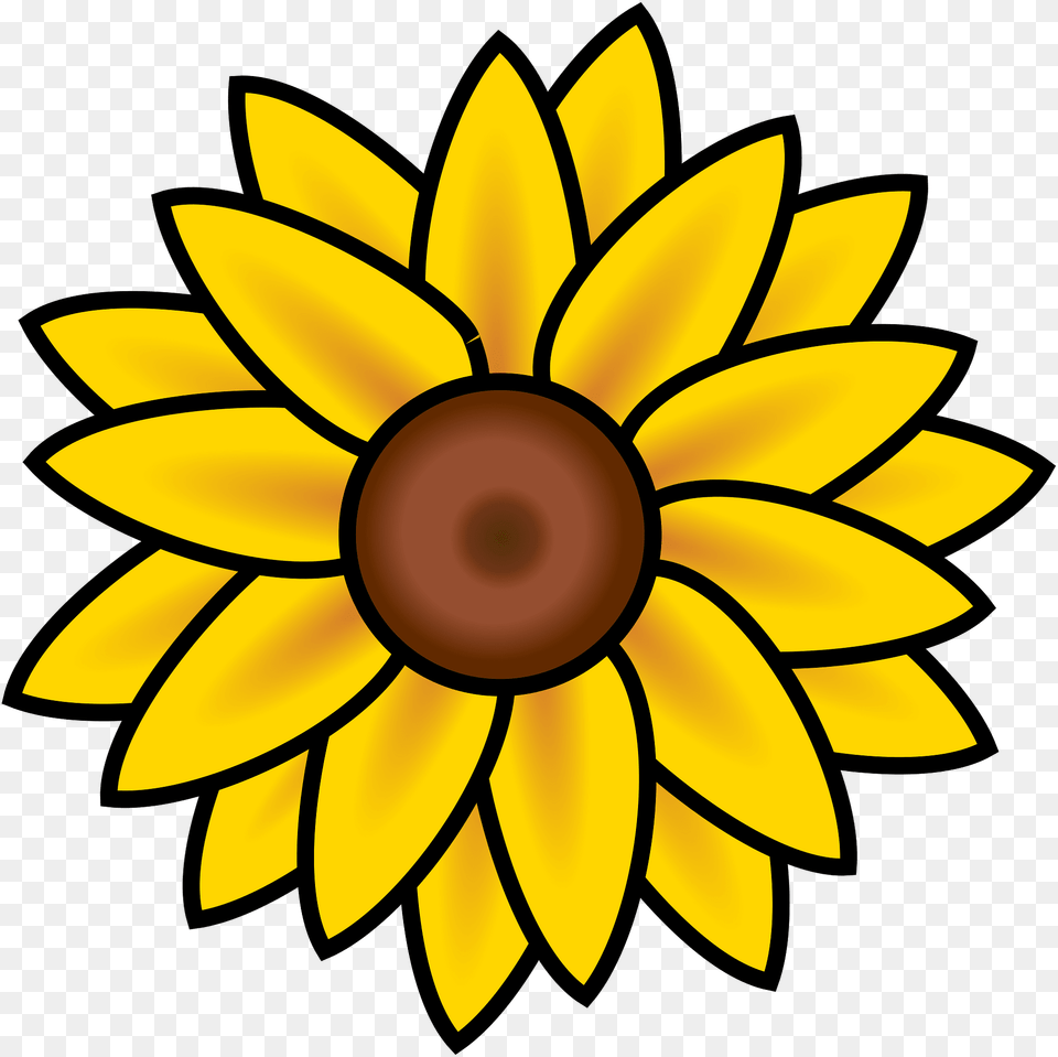 Sunflower Clipart, Daisy, Flower, Plant, Dahlia Free Png