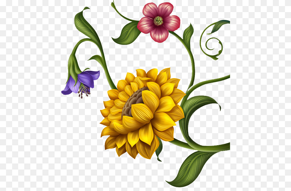 Sunflower Clipart Download Still Life, Art, Dahlia, Floral Design, Flower Png Image