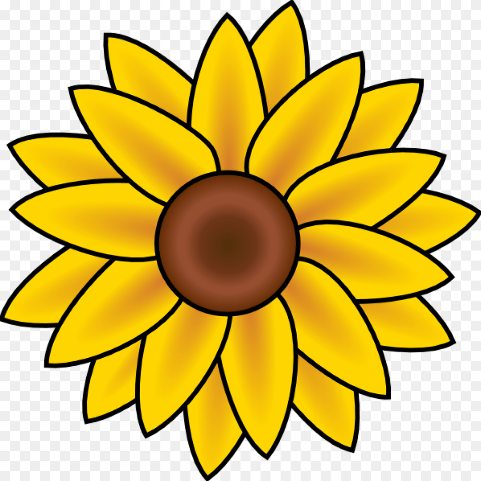 Sunflower Clipart Free Pencil Clipart House Clipart Online Download, Daisy, Flower, Plant, Bonfire Png Image