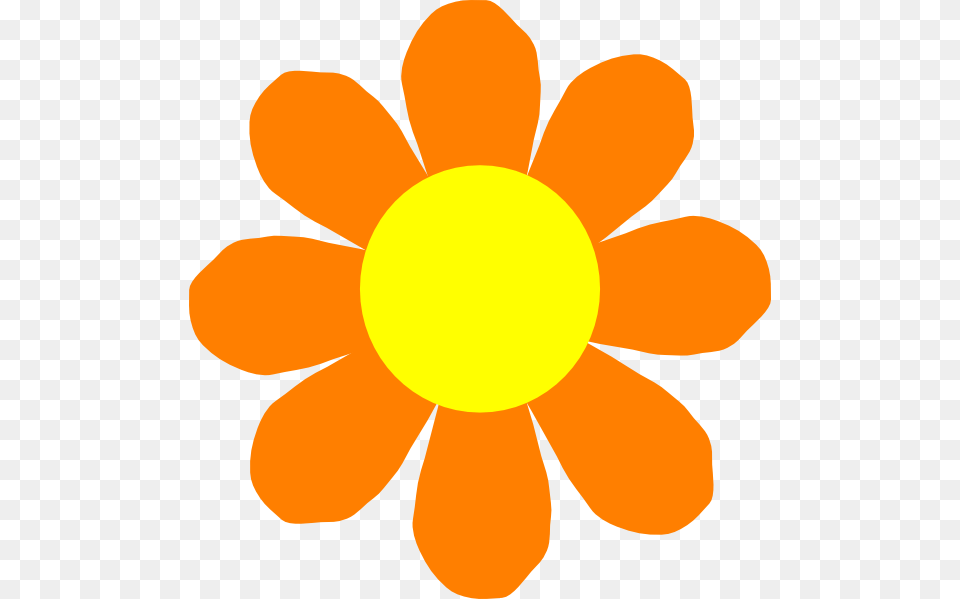 Sunflower Clipart Orange, Daisy, Flower, Plant, Petal Free Png