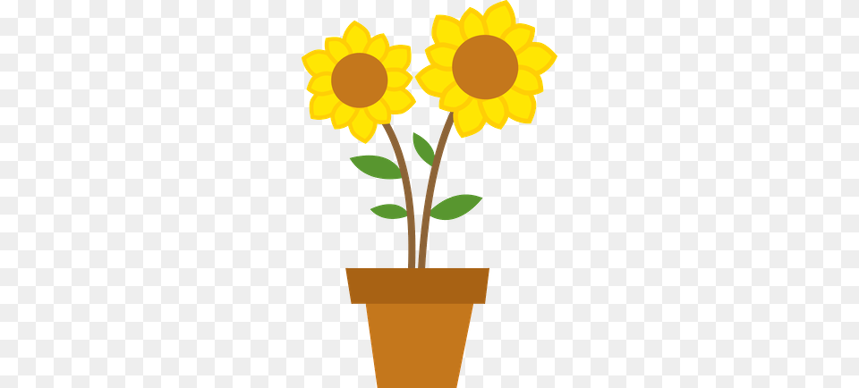 Sunflower Clipart Potted, Daisy, Flower, Plant, Potted Plant Free Png Download