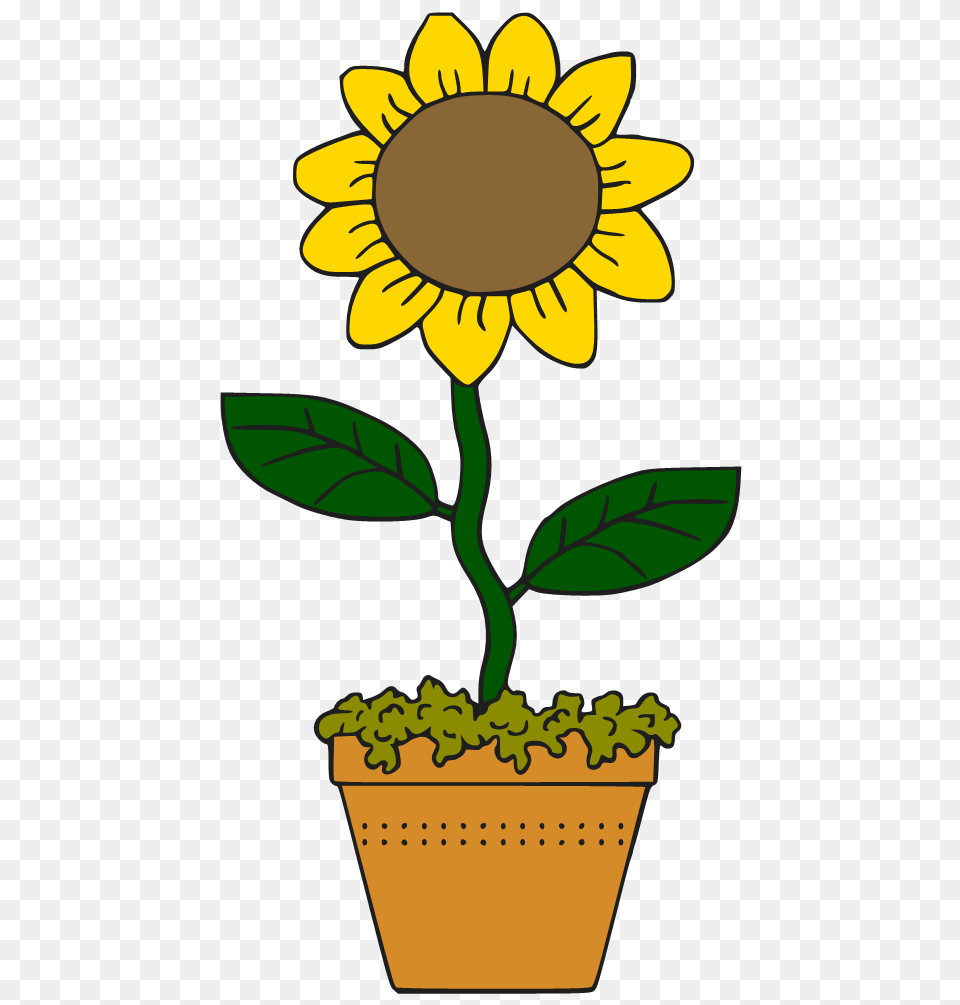 Sunflower Clipart Potted, Flower, Plant, Potted Plant, Daisy Free Png Download