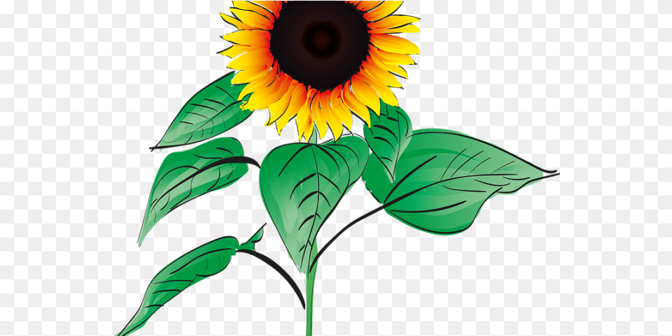 Sunflower Clipart Root Download Full Size Clipart Gambar Bunga Matahari Animasi, Flower, Plant Free Transparent Png