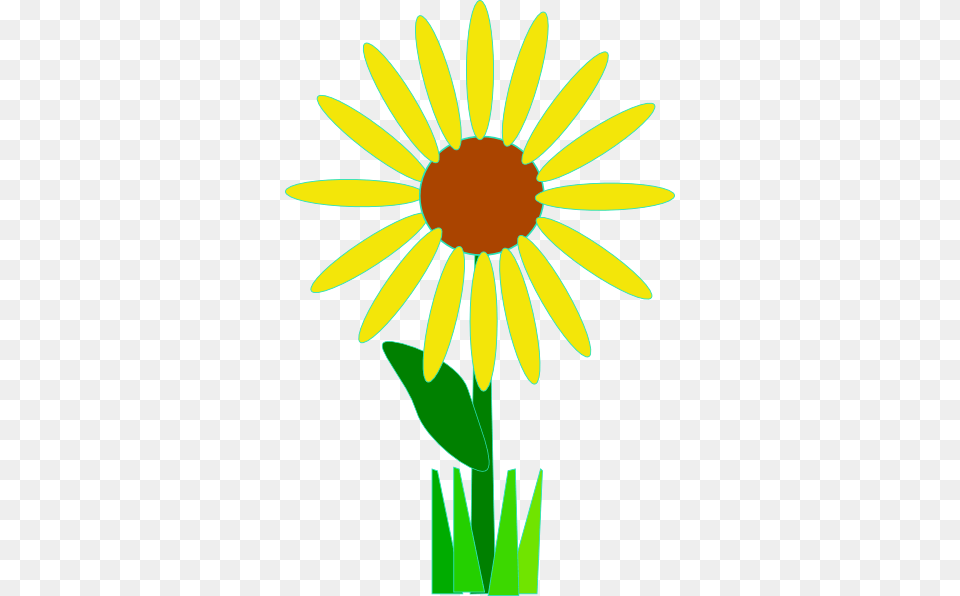 Sunflower Clipart Simple, Daisy, Flower, Plant, Petal Free Png Download