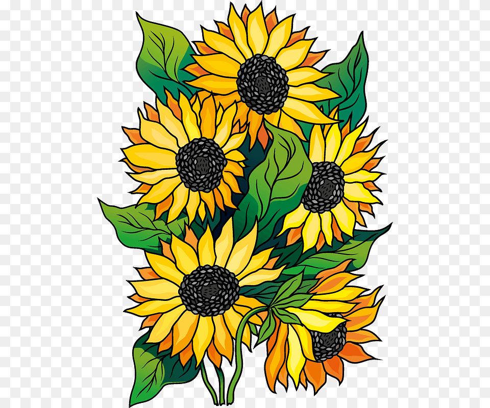 Sunflower Clipart Sunflower, Flower, Plant, Pattern, Art Png Image