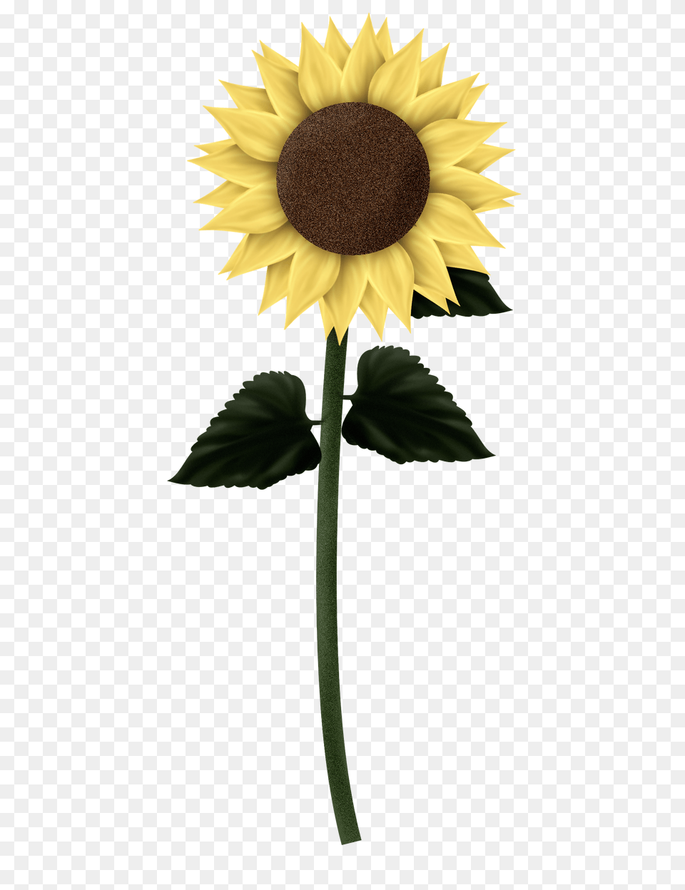 Sunflower Clipart Tall Sunflower Gif Transparent Background, Flower, Plant Free Png