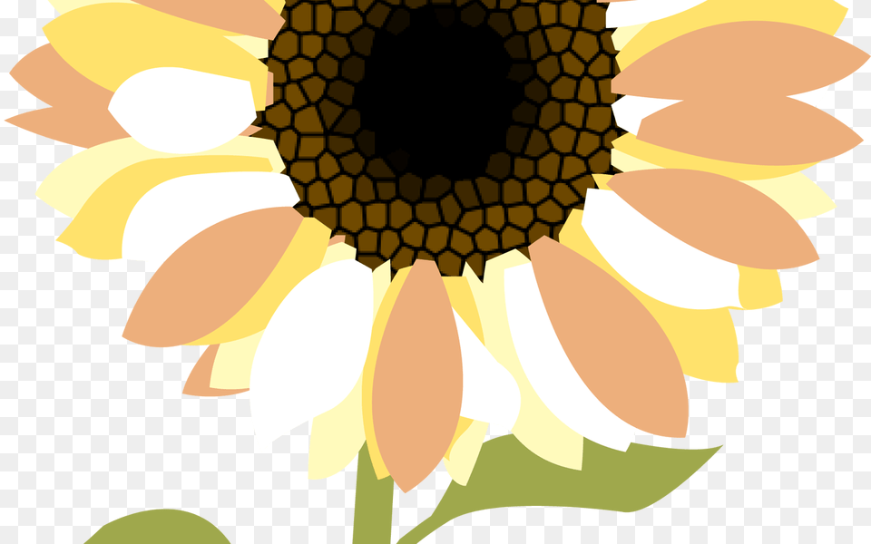 Sunflower Clipart The Kid Has Peace Love And Mercy, Flower, Plant, Daisy, Head Png Image
