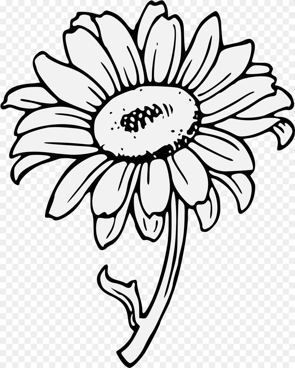 Sunflower Clipart Transparent Background Download Clip Art Of Yellow Sunflower, Daisy, Flower, Plant, Stencil Png