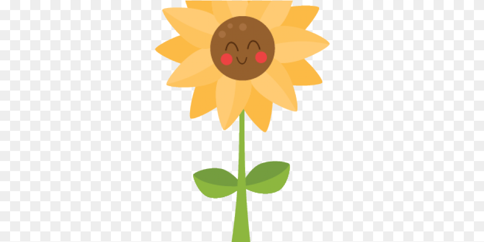 Sunflower Clipart Transparent Background Clip Art, Daisy, Flower, Plant, Petal Free Png