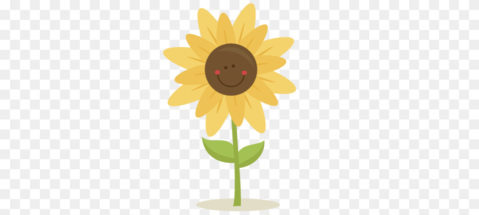 Sunflower Clipart Tree, Daisy, Flower, Plant Free Png