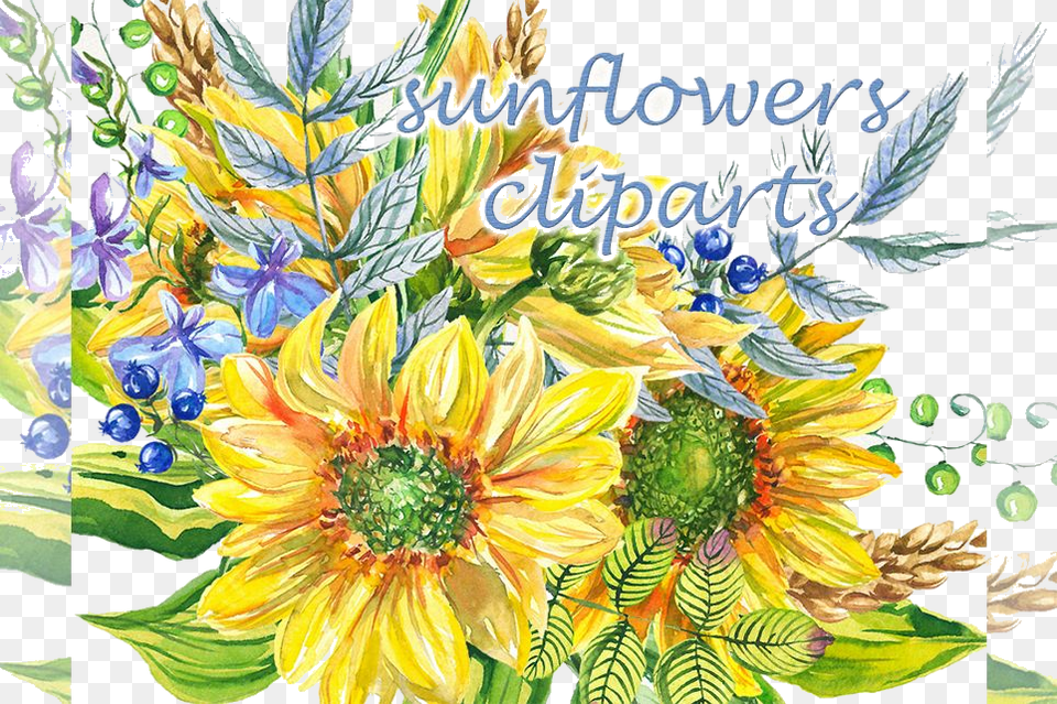 Sunflower Clipart Watercolor Floral Example Image Sunflower, Art, Flower, Graphics, Plant Free Transparent Png