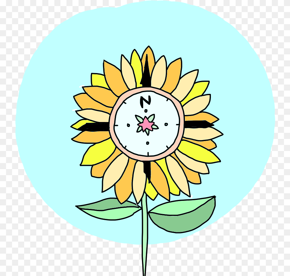 Sunflower Compass Circle, Flower, Plant, Analog Clock, Clock Free Png