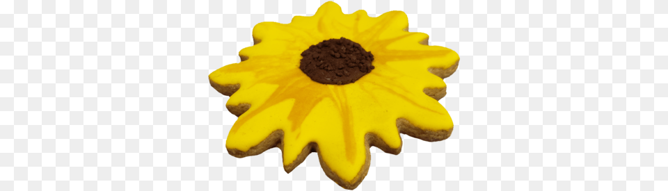 Sunflower Cookie Sunflower, Food, Sweets, Cream, Dessert Free Transparent Png
