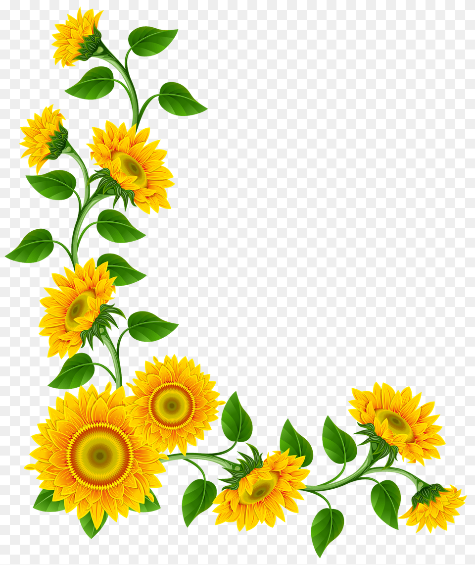 Sunflower Corner, Flower, Plant Free Png Download