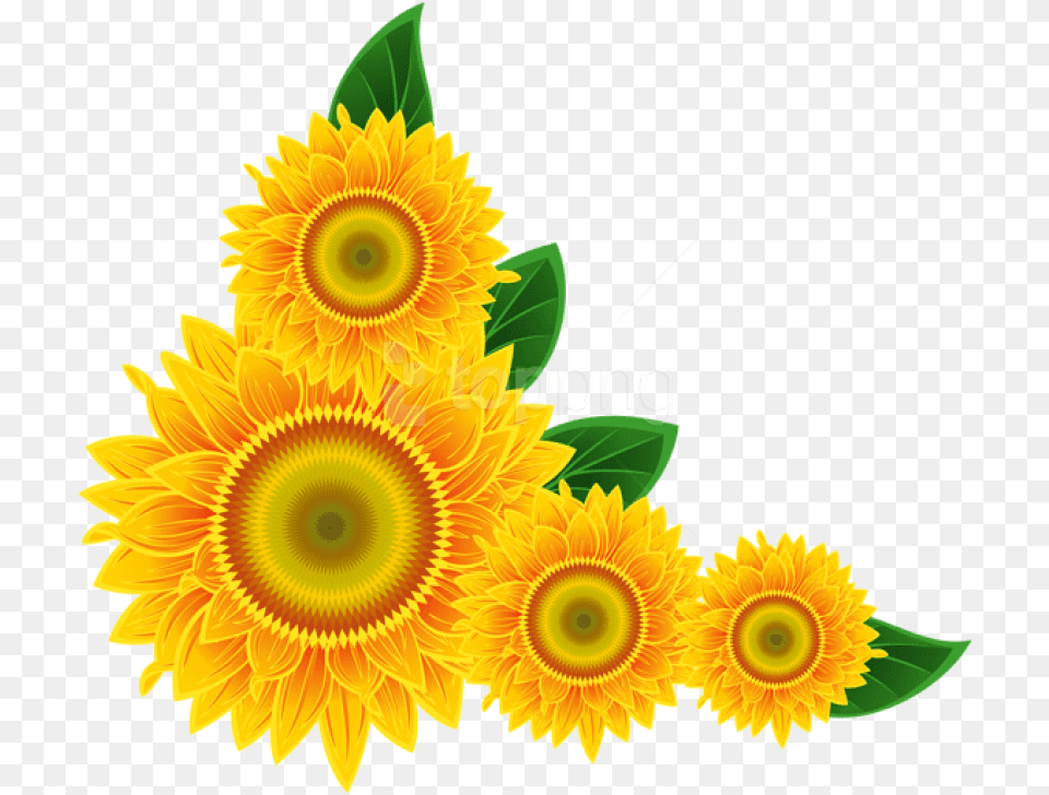 Sunflower Corner Decoration Clipart Sunflower Corner Border Clipart, Flower, Plant, Chandelier, Lamp Free Png