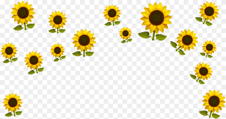 Sunflower Crown Emoji Clipart Transparent Emoji Crown, Flower, Plant Free Png