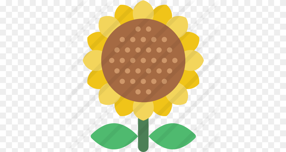 Sunflower Dot, Flower, Plant, Ammunition, Grenade Png Image