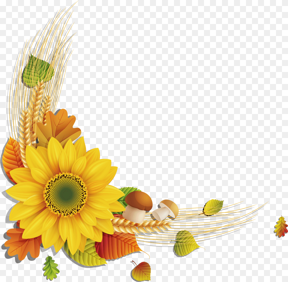 Sunflower Download Sunflower Frame, Flower, Plant, Flower Arrangement, Flower Bouquet Png