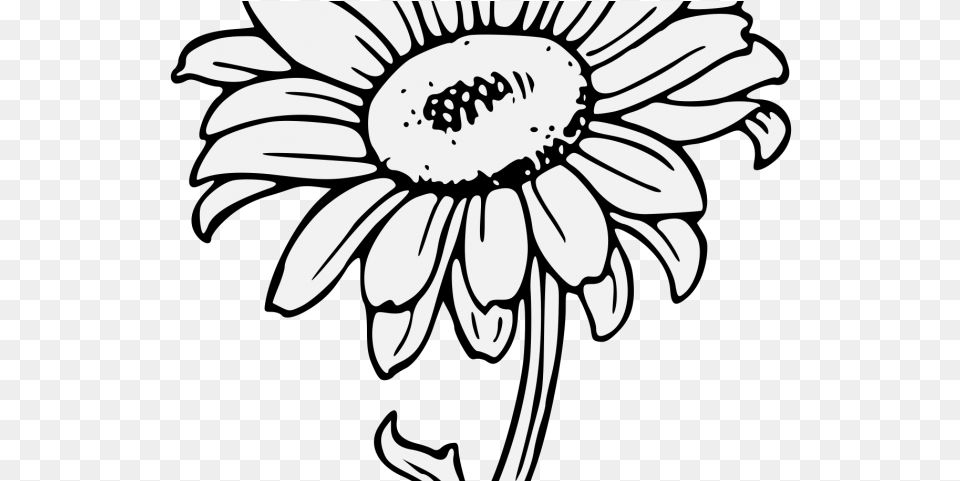Sunflower Drawing Drawn Sunflower Traceable Black And White Sunflower Clipart, Daisy, Flower, Plant, Stencil Free Png