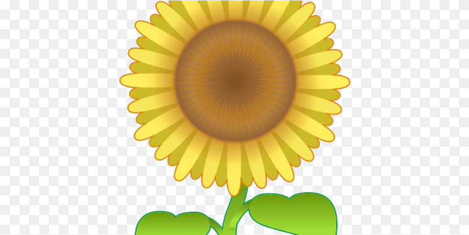Sunflower Emoji, Flower, Plant Png
